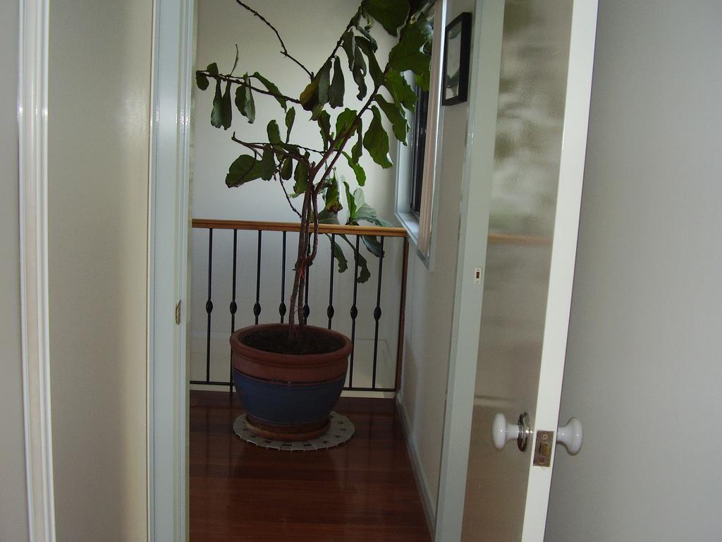 Strathmore Lodge Port Macquarie Ngoại thất bức ảnh